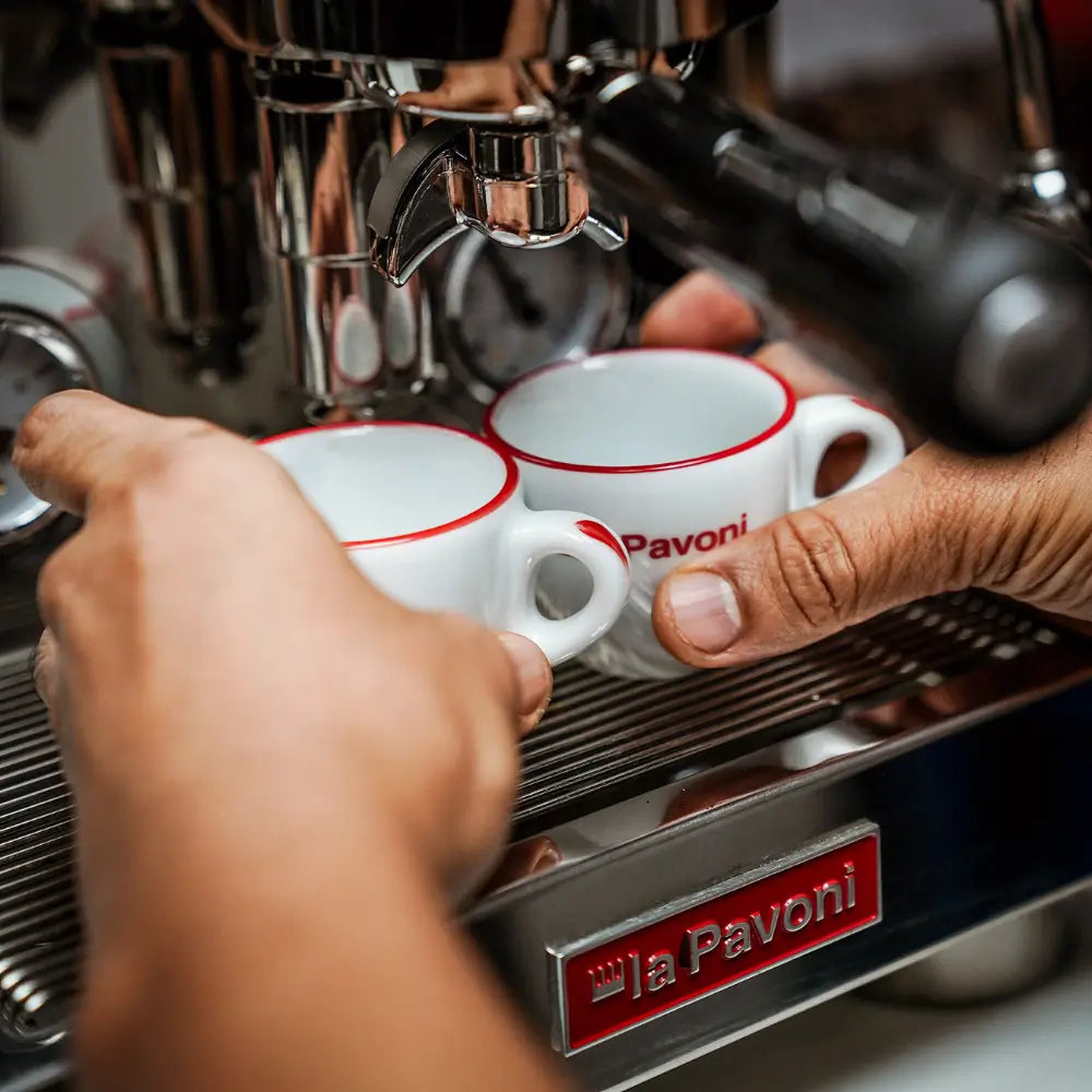 A barista's hands placing two La Pavoni espresso cups onto the drip tray of the Botticelli Specialty.