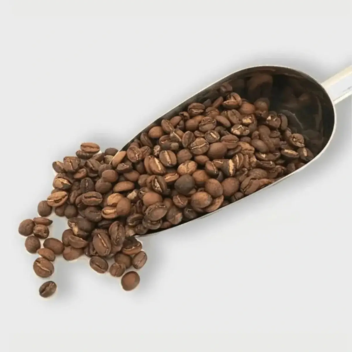 MONT58 El Salvador Single Origin Coffee Beans