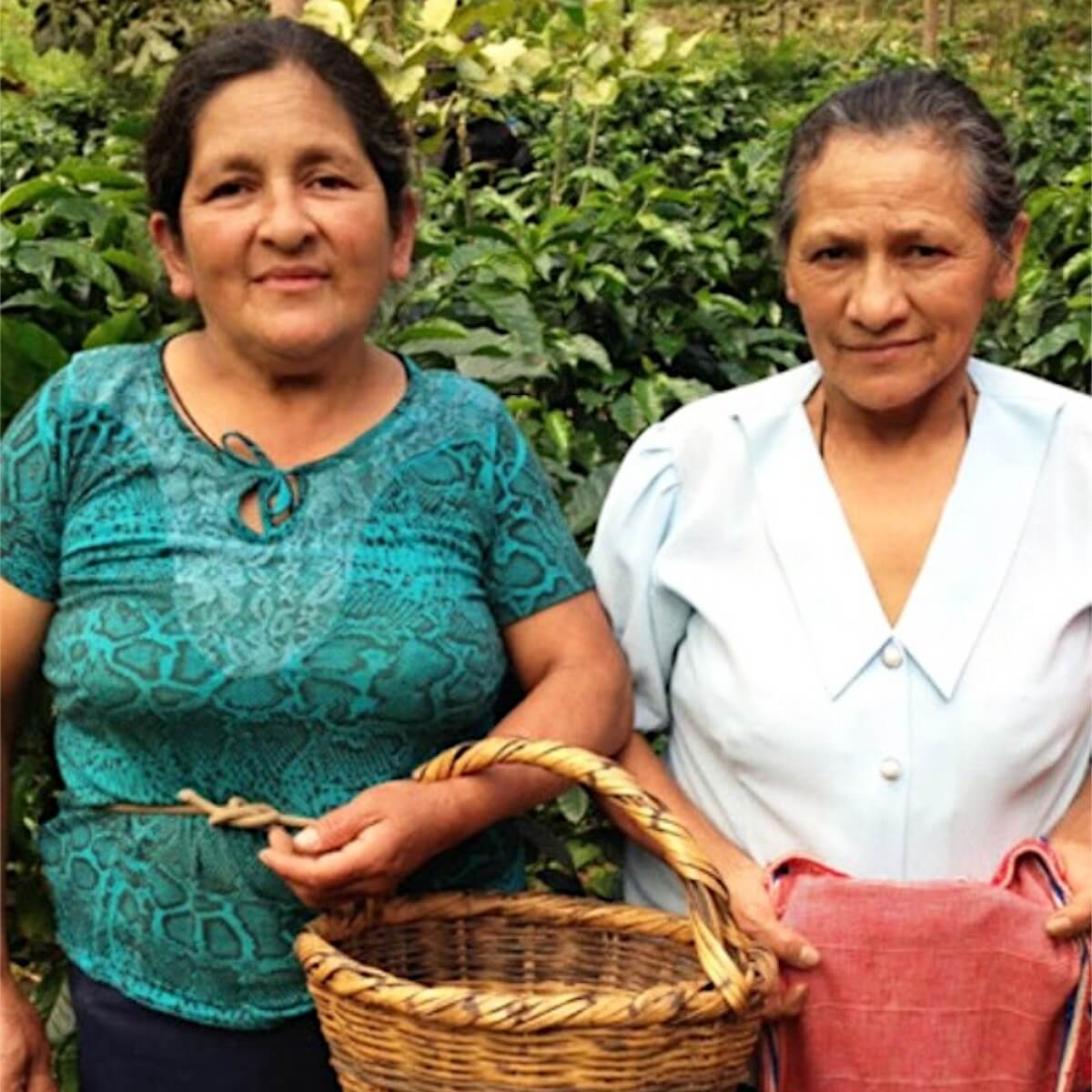 MONT58 Peru Organic Coffee Beans
