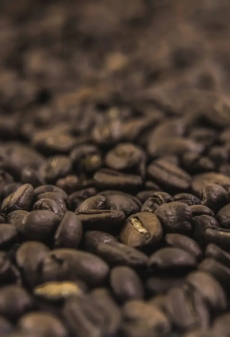 Close-up of roasted coffee beans with a blurred background